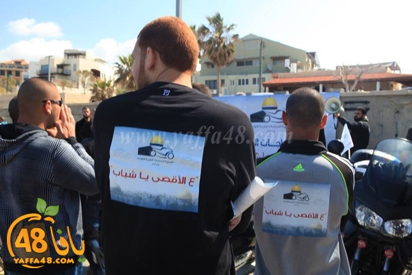 iste3dadat3j (7).jpg